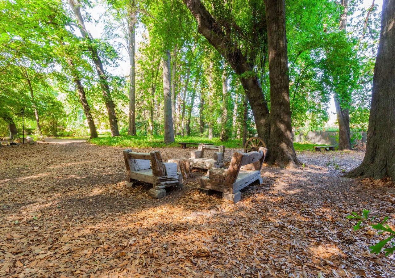 Hotel Boutique Almahue Pichidegua Εξωτερικό φωτογραφία