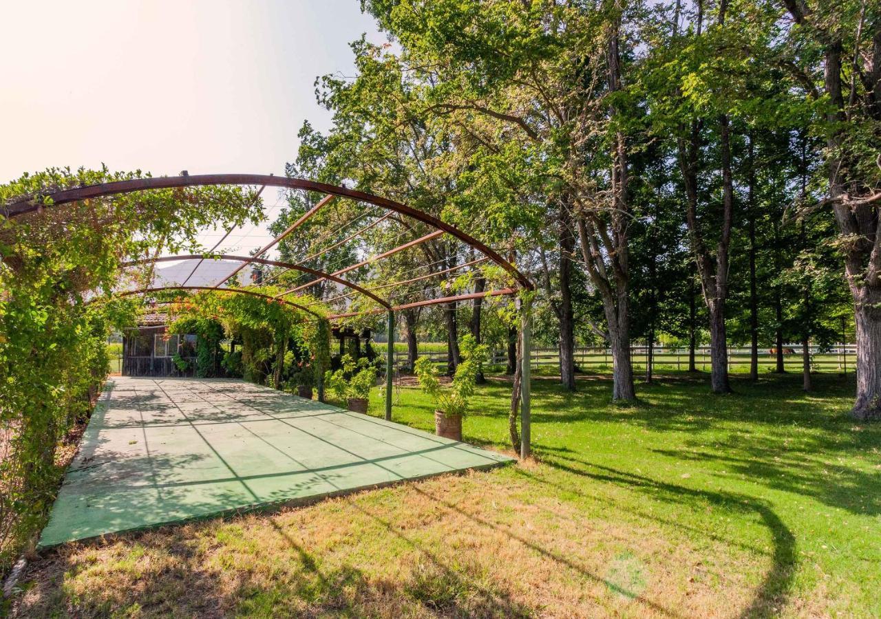 Hotel Boutique Almahue Pichidegua Εξωτερικό φωτογραφία