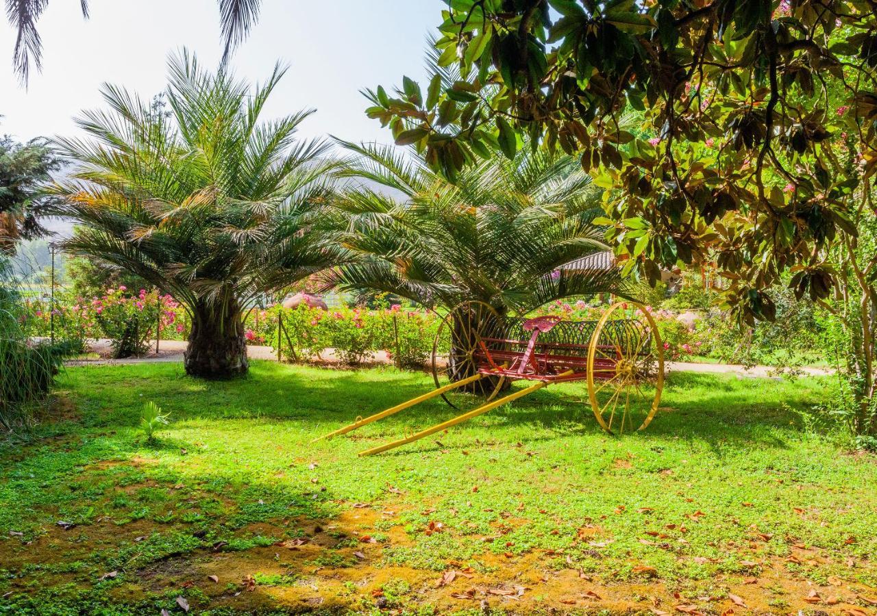 Hotel Boutique Almahue Pichidegua Εξωτερικό φωτογραφία